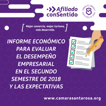 INFORME ECONÓMICO PARA EVALUAR EL DESEMPEÑO EMPRESARIAL EN EL SEGUNDO SEMESTRE DE 2018 Y LAS EXPECTATIVAS PARA EL PRIMER SEMESTRE DE 2019.