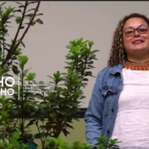 programa Semilleros de emprendimiento