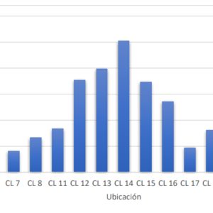 Estimación de Comerciantes de Santa Rosa de Cabal 2020